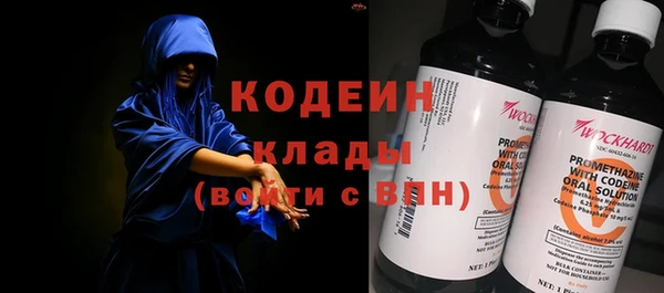 кокс Вяземский